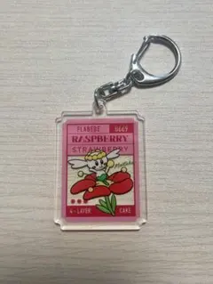 【匿名配送】ポケモン×PRONTO 《フラべべ》アクリルキーホルダー