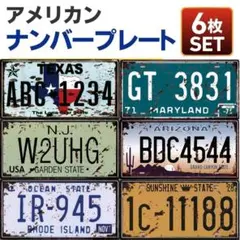 ナンバープレート 6枚 ヴィンテージ風 アメリカン ブリキ看板 雑貨 インテリア