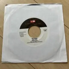 レゲエ レコードSean Paul Get Busy