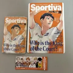 ハイキュー‼︎ ショーセツバン　B5ビジュアルボード