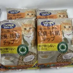 Item thumbnail for item 2b6e6247-a18d-4c08-880f-e5dec3de3c9c