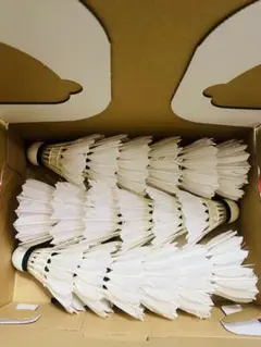 Item thumbnail for item 1d5ce8e7-ddcd-4639-89b6-ee2d99dc74b2