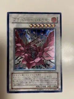 遊戯王 ブラック・ローズ・ドラゴン