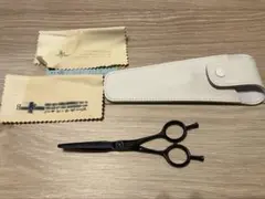 Item thumbnail for item fcf10f1e-869c-4ad2-bc13-88d932b3c39c