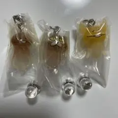 なめこ栽培キット めじるしアクセサリー 長なめこ・ねこなめこ・天使なめこ