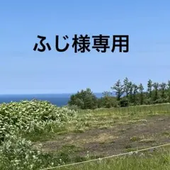 ふじ様専用　ミニポーチ　インド刺繍ゴールドオレンジ系と合皮　ハンドメイド