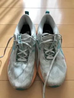 Item thumbnail for item 6fead42e-2162-45fe-b08b-0feb511a5c75