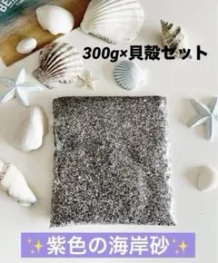 ✨紫色の砂浜の砂 300㌘✨　貝殻のオマケ付き　即日発送★送料込み