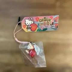 ご当地キティ　台湾 ご当地キティ 台湾 台湾版ご当地キティちゃん | プレゼント