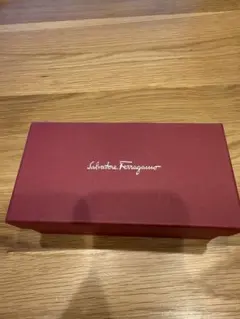Salvatore Ferragamo サングラス ケース付きのサムネイル
