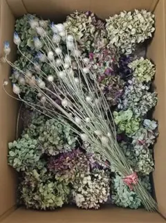 2025年最新】アジサイ ドライフラワーの人気アイテム - メルカリ