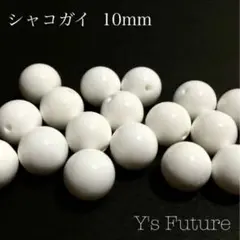 【天然石卸売り】29. シャコガイ 10mm 10粒セット