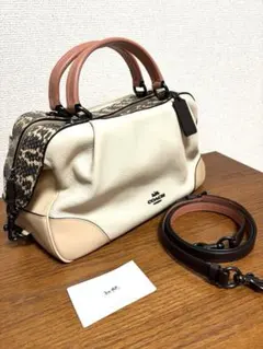 2025年最新】コーチパイソン バッグの人気アイテム - メルカリ