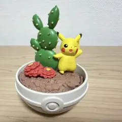2025年最新】ボタニカルポケモンの人気アイテム - メルカリ