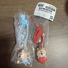 KUMATAN カラフルマルチチャーム 2個セット