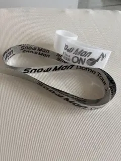 【ちびコロ様専用】Snow Man Dome Tour 2025 落下物