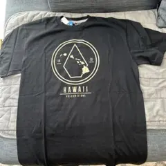 volcom Tシャツ 新品未使用
