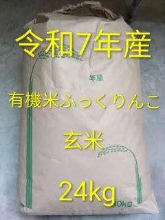 2026年最新】米30kg 玄米の人気アイテム - メルカリ
