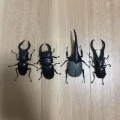 生き物大図鑑 4体セット クワガタ カブトムシ