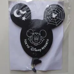 東京ディズニーリゾート ハロウィンバンパイアミッキーコースター