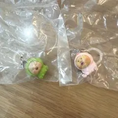 こびとづかん めじるしフレンズ　チャーム　アクセサリー　ガチャ　カクレモモジリ