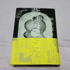燕は戻ってこない　桐野夏生