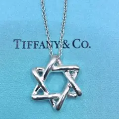 ★極美品 ティファニー スター オブ ダビデ ネックレス シルバー 925 社外 2025年最新】ティファニー ダビデの人気アイテム - メルカリ