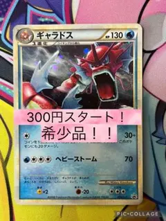 【300円オークション】色違いギャラドス　ランダムベーシックパック　プロモ