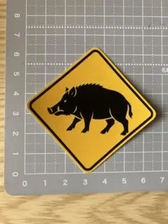 Item thumbnail for item 0b50b656-10f1-4bc5-83af-244ccc746341