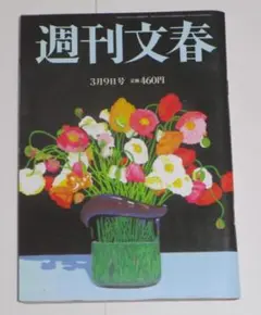 週刊文春 2023年3月9日 原色美女図鑑 グラビア 松本若菜