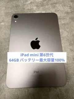 （ほぼ新品）Apple iPad mini 6世代(スペースグレー) 本体