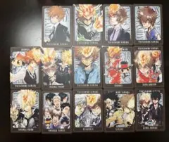 家庭教師ヒットマンREBORN! ボードゲーム カード 沢田綱吉