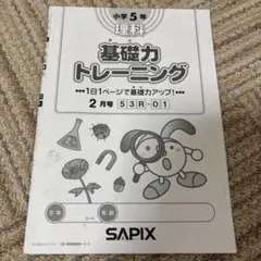 サピックス sapix 基礎力トレーニング 4年 5年 6年 SAPIX 小4 サピックス 算数 基礎力トレーニング 【計12回分】 2019