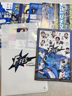 北海道日本ハムファイターズ　FFES パンフレット類一式　ファンフェス　Fフェス