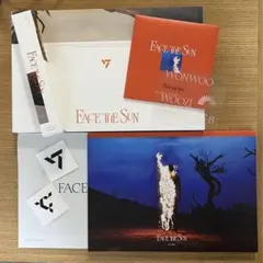 SEVENTEEN セブチ アルバム ep3 Ray