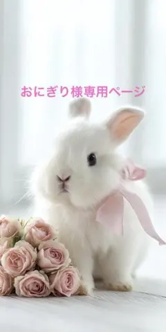 おにぎり様専用オーダーページ