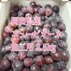 nao さま 専用ページ