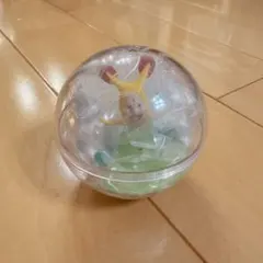 こびとづかん ホトケアカバネ カプリウムコレクション