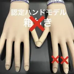JNEC 認定モデルハンド　両手セット