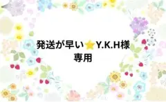 発送が早い⭐️Y.K.H様専用ページです