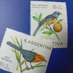8549 外国切手 アルゼンチン 1967年 鳥類 トラウピス 動物 2V