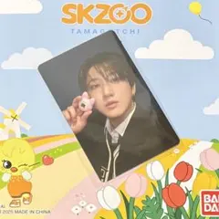 straykids チャンビン　skzoo たまごっち　購入特典トレカ　おまけ付