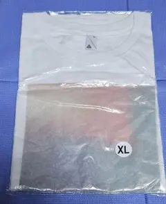 Item thumbnail for item 27cf0b15-a327-4545-9373-6d2072a06d68