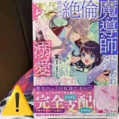異世界で絶倫魔導師に買われたらメチャクチャ溺愛されています。. 1