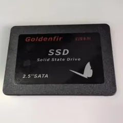 Goldenfir 256GB 2.5インチ SSD ジャンク品