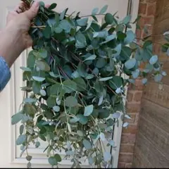 チョコまま様 リクエスト 2点 まとめ商品