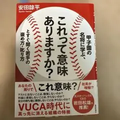 これって意味ありますか？ 安田謙平著