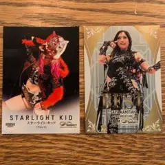 2026年最新】スターライト・キッド プロレスの人気アイテム - メルカリ