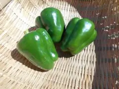 【みかん☆様専用】のサムネイル