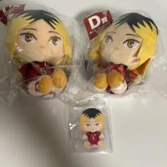 フリューくじ　ハイキュー!! ぬいもっち 孤爪研磨